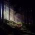 Light Source