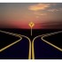 A Fork In The Road