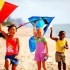 Tis the Season to Fly A Kite?!