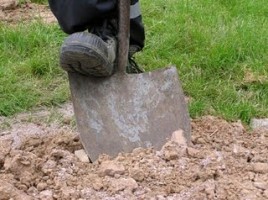 digging-deeper