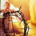 The Last Words - Cross to Pentecost