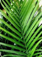 images-77
