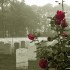 Create A Meaningful Memory: Memorial Day