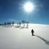 The Best of 2011: Is It Time to Walk Out?!