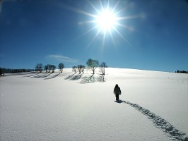 person-walking-snow1