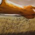 Is Your Soul Good Soil? 